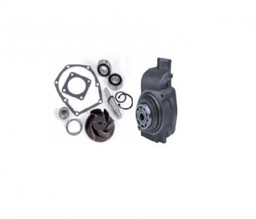 BOMBAS DE AGUAS, REPARACION Y COMPONENTES